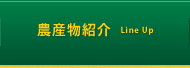 農産物紹介